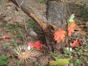 Rudenėlio šventė, 2012 m. spalio 6d. 